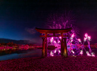 Epcot fireworks copyright ronaldzinconephotography
