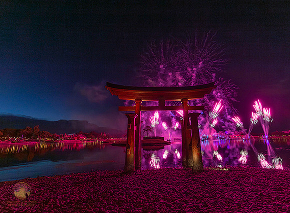 Epcot fireworks copyright ronaldzinconephotography