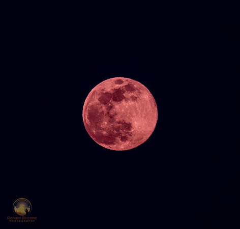 Full Pink moon  copyright ronaldzinconephotography