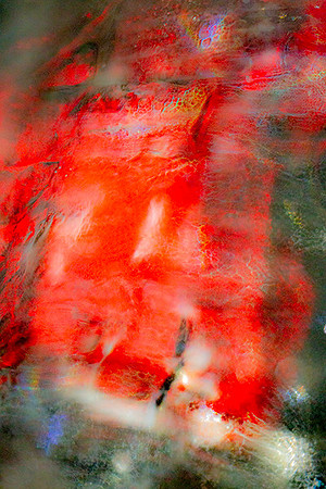 Reflection in Ice at Garden's Aglow 2018  copyright ronaldzinconephotography