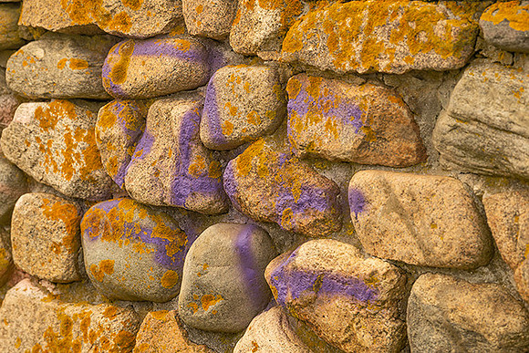Windswept ruins, Black Point, RI  copyright ronaldzinconephotography