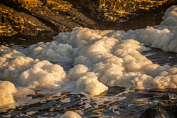 Sea foam at Beavertail  copyright ronaldzinconephotography