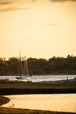 Sailboat at Jamestown  copyright ronaldzinconephotography