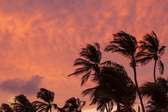 Aruba sunset no12 copyright ronaldzinconephotography