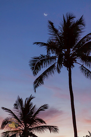Crescent moon over Aruba no3 copyright ronaldzinconephotography