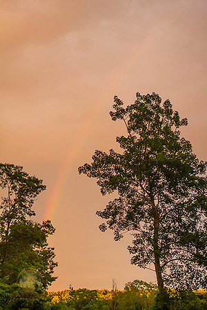Rainbow no6 copyright ronaldzinconephotography