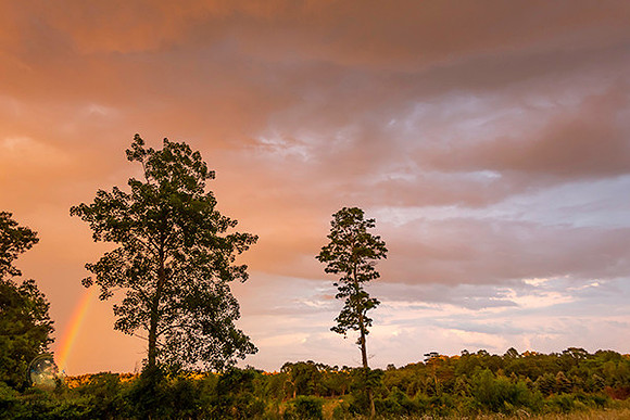 Rainbow no8 copyright ronaldzinconephotography