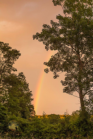 Rainbow no9 copyright ronaldzinconephotography