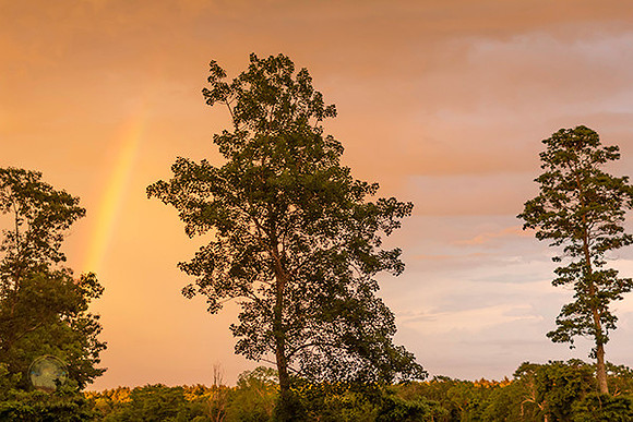 Rainbow no12 copyright ronaldzinconephotography