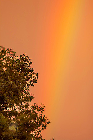 Rainbow no13  copyright ronaldzinconephotography