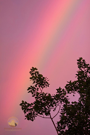 Rainbow no16 copyright ronaldzinconephotography