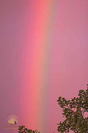 Rainbow no17 copyright ronaldzinconephotography