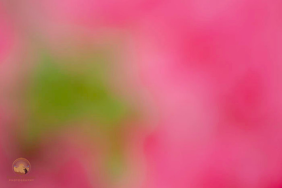 Macro abstract  copyright ronaldzinconephotography