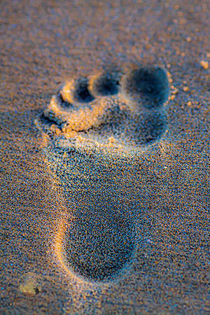 Footprint in beach sand at Ogunquit, Maine  copyright ronaldzinconephotography