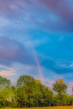 Rainbow no4 copyright ronaldzinconephotography