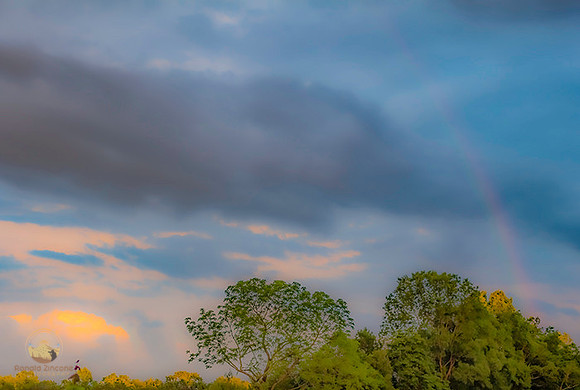 Rainbow no5 copyright ronaldzinconephotography