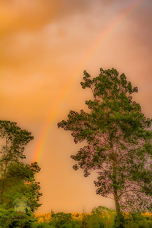 Rainbow no6 copyright ronaldzinconephotography