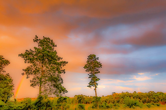 Rainbow no8 copyright ronaldzinconephotography