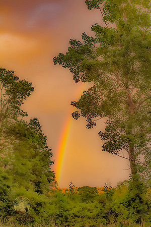 Rainbow no9 copyright ronaldzinconephotography