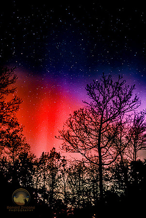 Northern Lights over Richmond, RI 2004  copyright ronaldzinconephotography