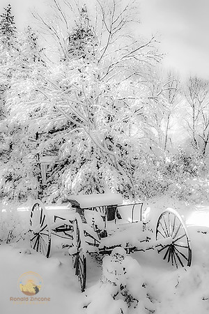 Carriage in Winter copyright ronaldzinconephotography