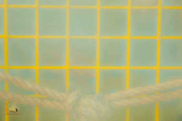 Lobster Cage at Bradley Wharf, Rockport, MA  copyright ronaldzinconephotography