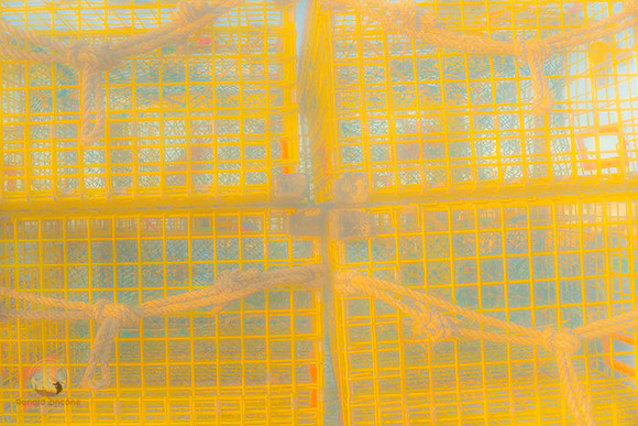Lobster Cages at Bradley Wharf, Rockport, MA  copyright ronaldzinconephotography