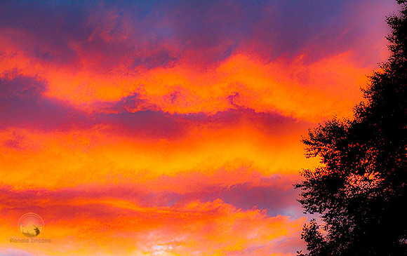 After the Storm  copyright ronaldzinconephotography