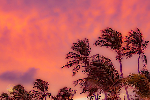 Aruba sunset  copyright ronaldzinconephotography