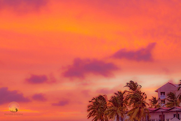 Aruba sunset  copyright ronaldzinconephotography