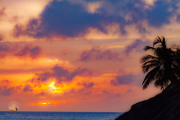 Aruba sunset copyright ronaldzinconephotography