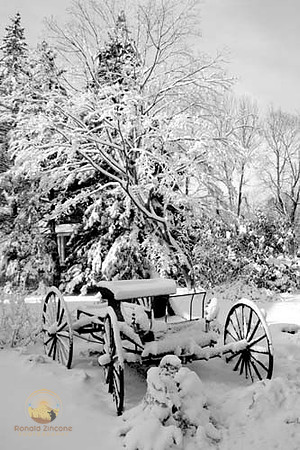 Carriage in snow, URI campus, Kingston, RI copyright ronaldzinconephotography