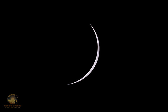 Partial eclipse no8, 4/8/24 Plano TX  copyright ronaldzinconephotography