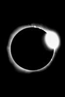 TSE Diamond Ring , Plano TX, 4/8/24 copyright ronaldzinconephotography