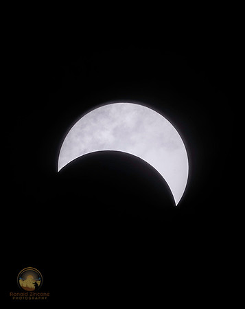 Partial eclipse no11, 4/8/24 Plano TX  copyright ronaldzinconephotography