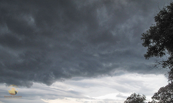 Shelf cloud over NKTB copyright ronaldzinconephotography