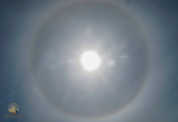 Sun halo copyright ronaldzinconephotography