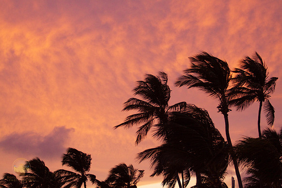Aruba sunset copyright ronaldzinconephotography