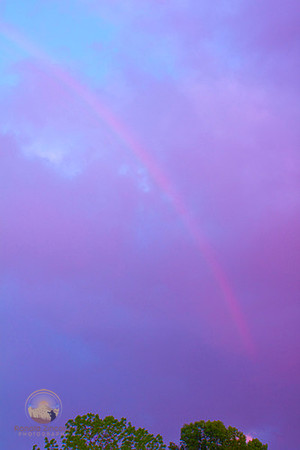 Rainbow, Richmond, RI copyright ronaldzinconephotography