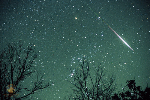 Leonid meteor fireball in Orion, 2001 Leonid Meteor storm, award-winning copyright ronaldzinconephotography