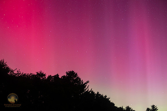 Aurora Borealis 081224 copyright ronaldzinconephotography