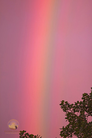 Rainbow, Exeter, RI copyright ronaldzinconephotography