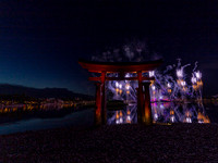 Epcot fireworks copyright ronaldzinconephotography