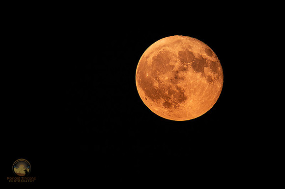 99% Moon at NKTB copyright ronaldzinconephotography