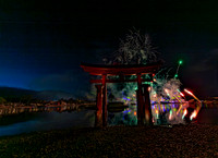 Epcot fireworks copyright ronaldzinconephotography