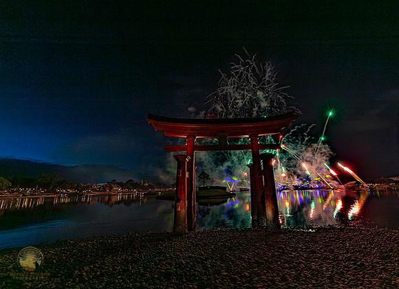 Epcot fireworks copyright ronaldzinconephotography