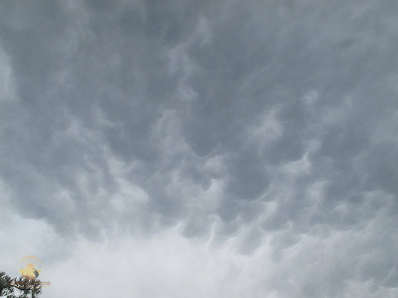 Mammatus over Orlando copyright ronaldzinconephotography