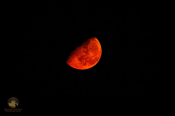 Waning half moon over eastern horizon NKTB copyright ronaldzinconephotography