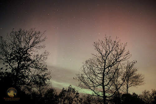 Northern Lights copyright ronaldzinconephotography