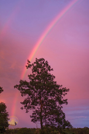 Rainbow, Exeter, RI copyright ronaldzinconephotography